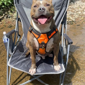 Fundraising Page: Ryan Masonis